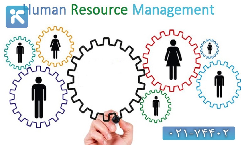 آشنایی با کلیدی ترین اصول مدیریت منابع انسانی